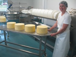 First-Week-of-Cheese-Making-016-250x187.